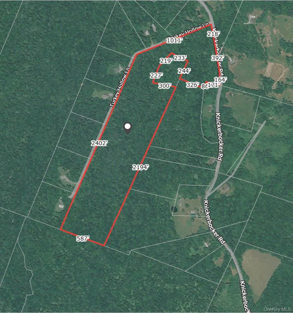 Knickerbocker Road Livingston Manor, NY 12758
