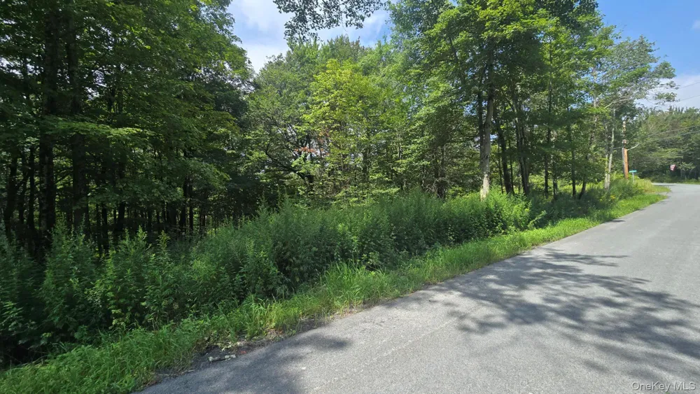 Knickerbocker Road Livingston Manor, NY 12758