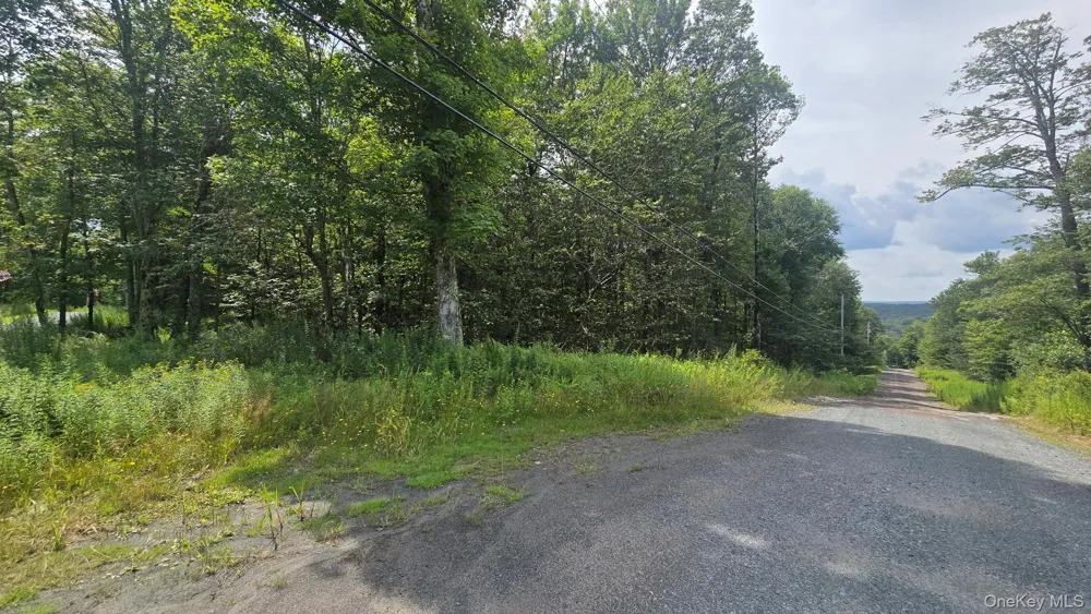 Knickerbocker Road Livingston Manor, NY 12758