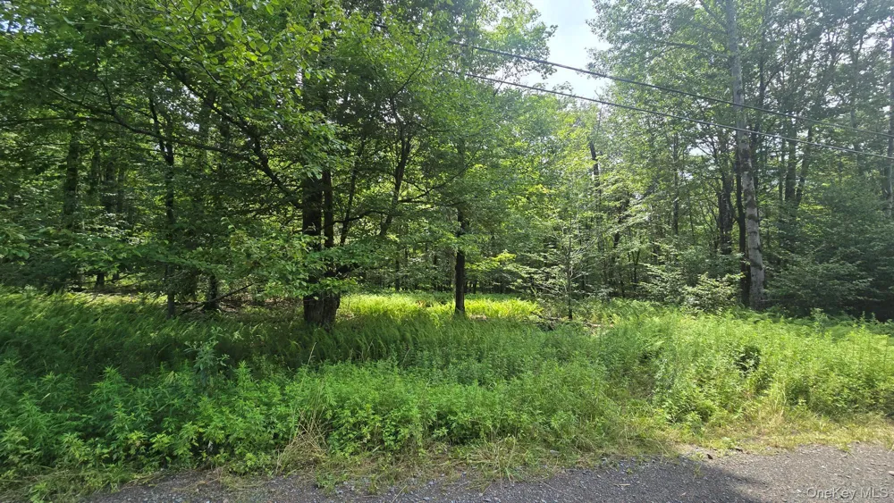 Knickerbocker Road Livingston Manor, NY 12758