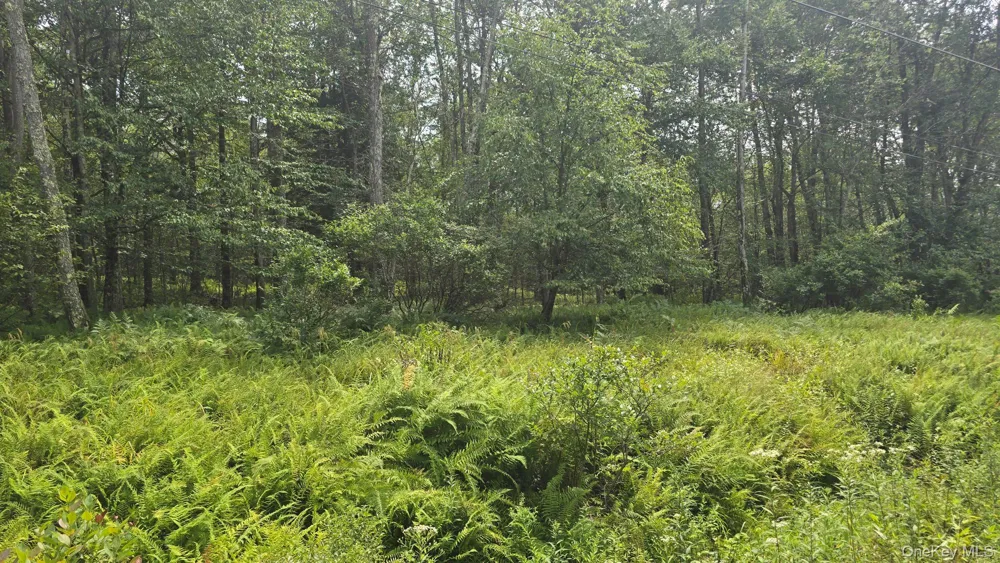 Knickerbocker Road Livingston Manor, NY 12758