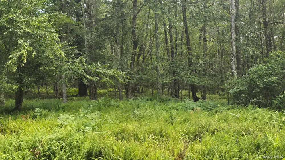 Knickerbocker Road Livingston Manor, NY 12758