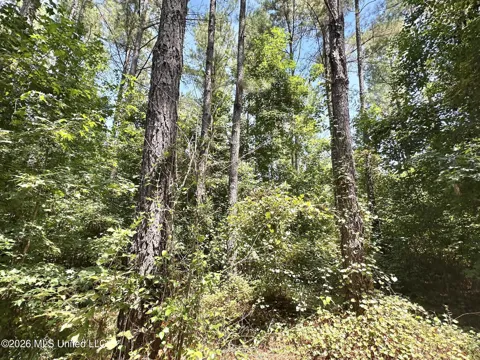 5 County Road 24