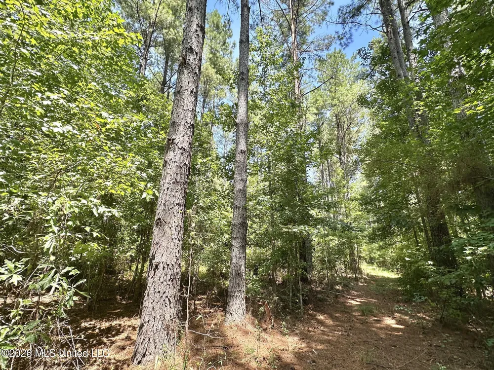 5 County Road 24 Enterprise, MS 39330