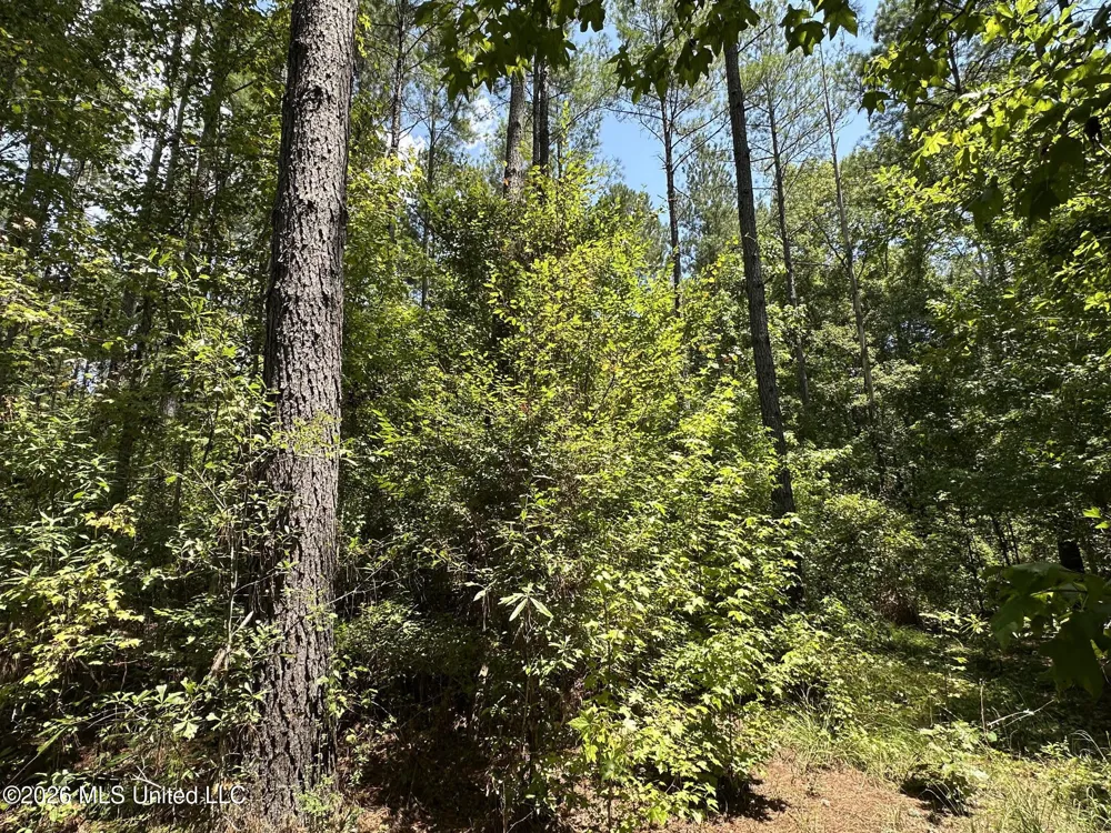 5 County Road 24 Enterprise, MS 39330