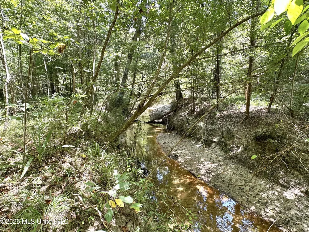 5 County Road 24 Enterprise, MS 39330