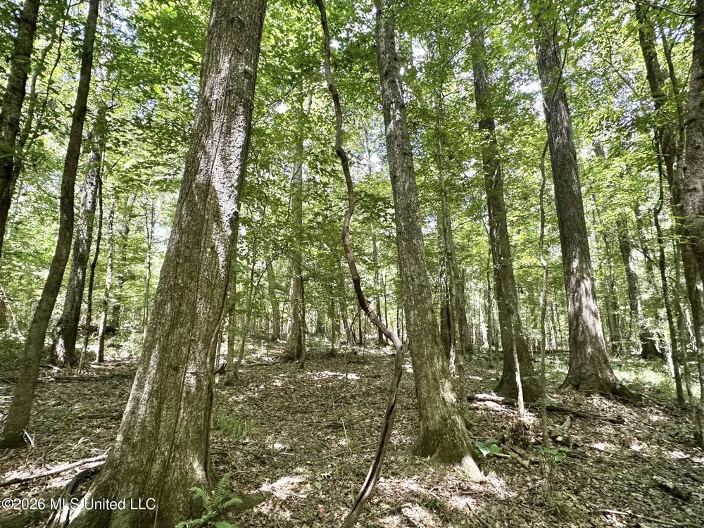 5 County Road 24 Enterprise, MS 39330