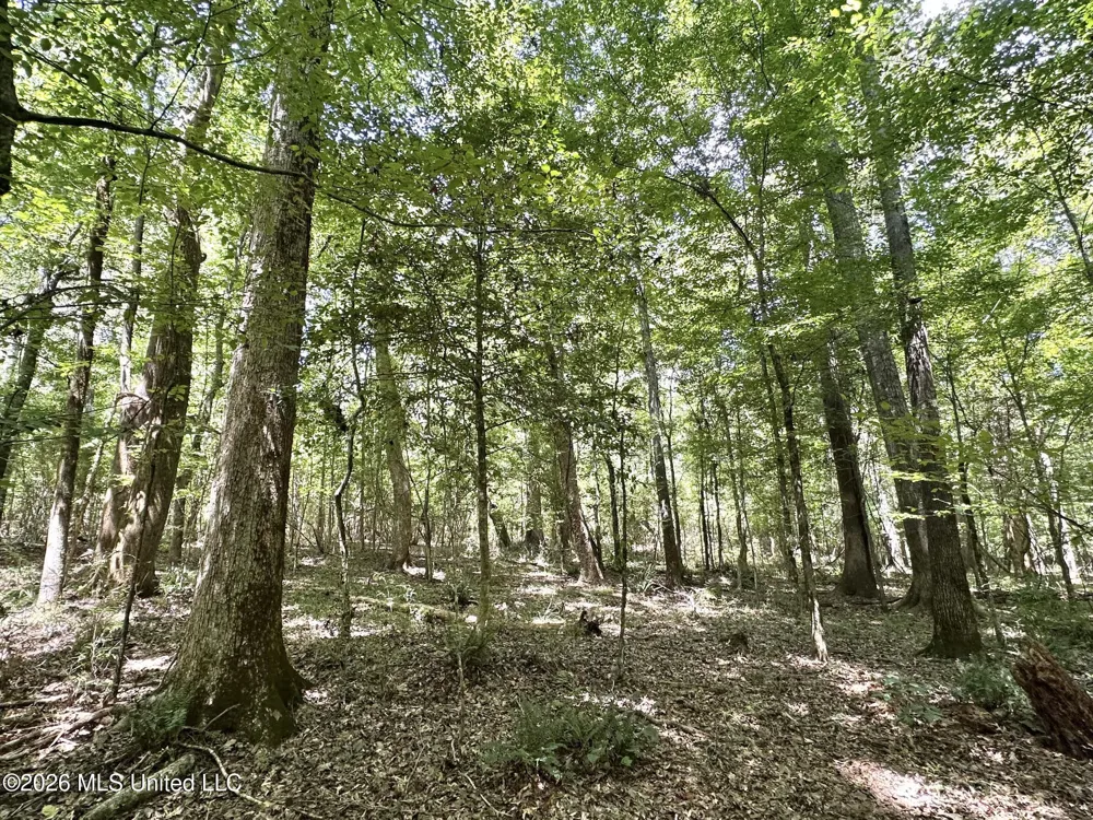 5 County Road 24 Enterprise, MS 39330