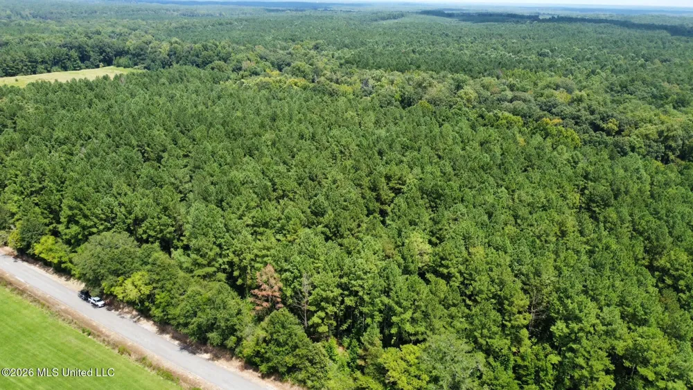 5 County Road 24 Enterprise, MS 39330
