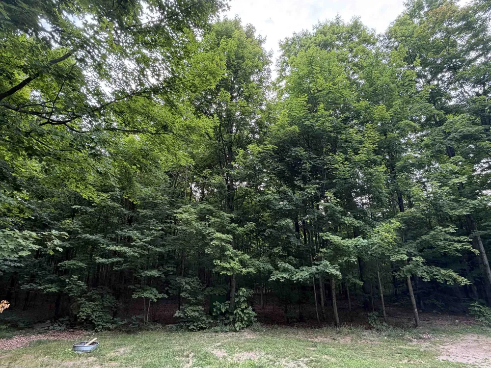 129 Pinecrest Drive Homestead Township, MI 49617