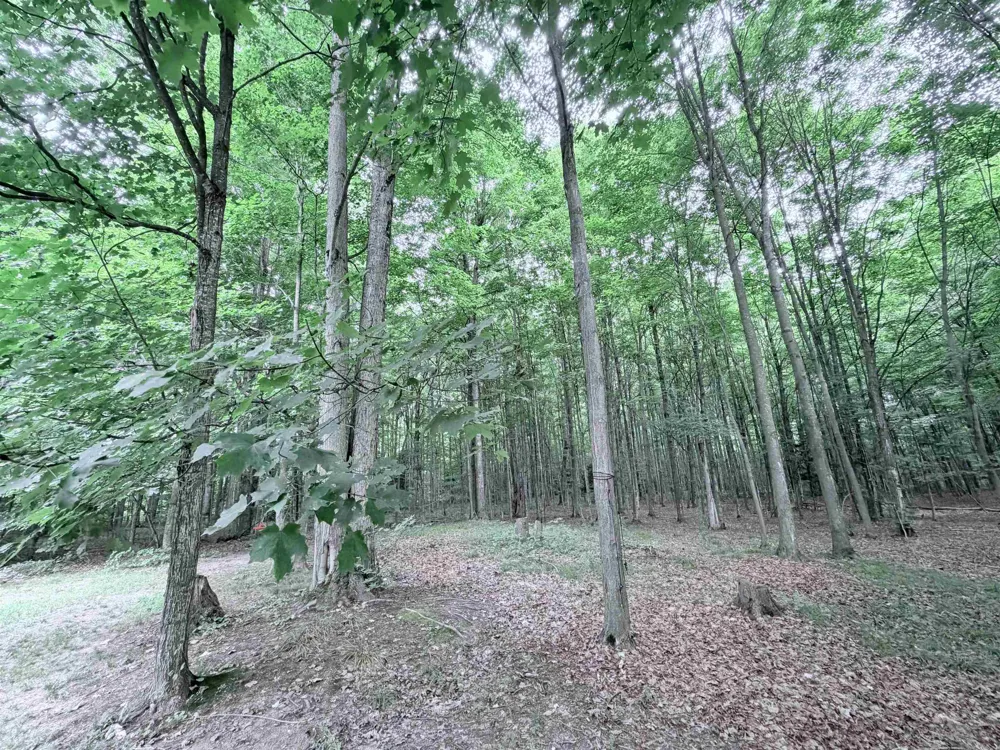 129 Pinecrest Drive Homestead Township, MI 49617