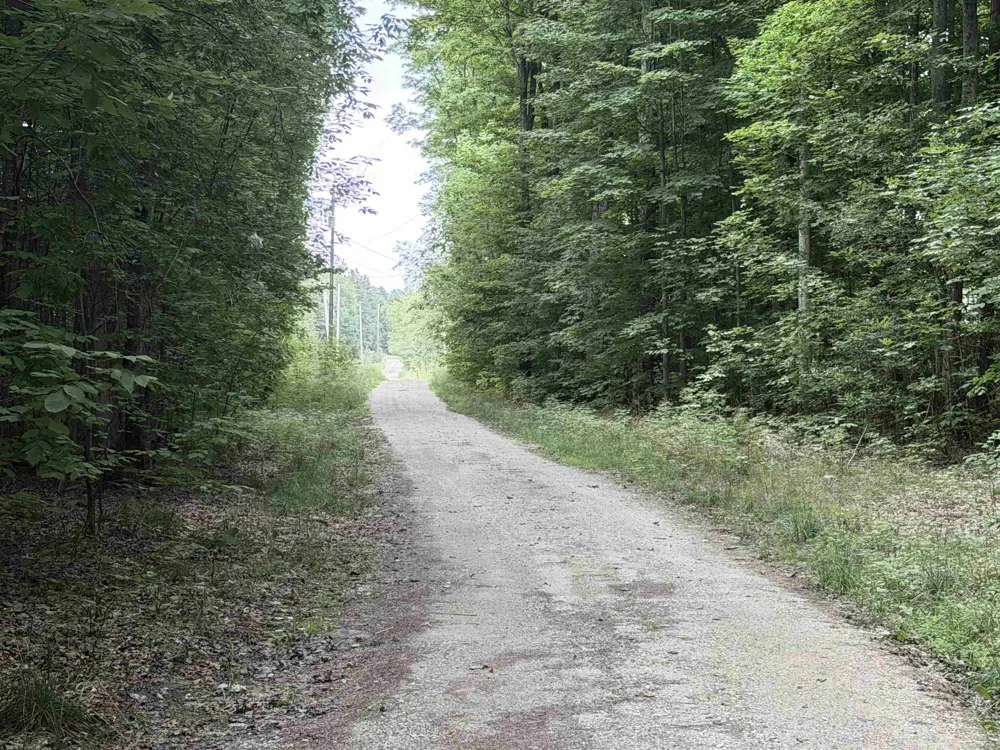 129 Pinecrest Drive Homestead Township, MI 49617