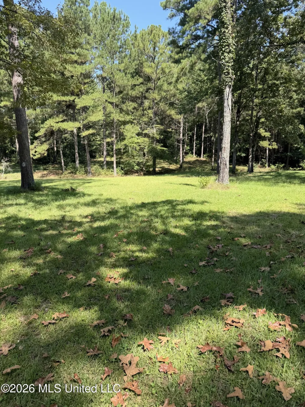 110 Mccormack Circle Brandon, MS 39042