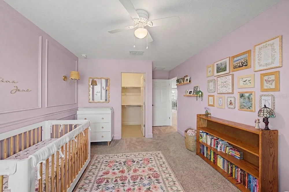 19308 BREYNIA DRIVE Lutz, FL 33558
