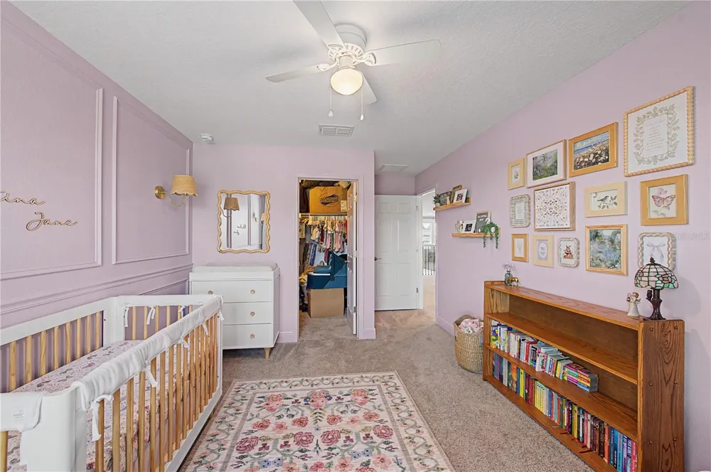 19308 BREYNIA DRIVE Lutz, FL 33558