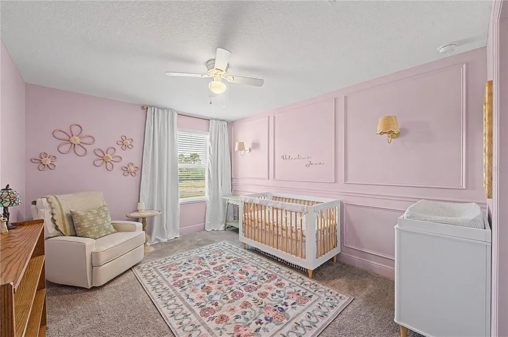 19308 BREYNIA DRIVE Lutz, FL 33558