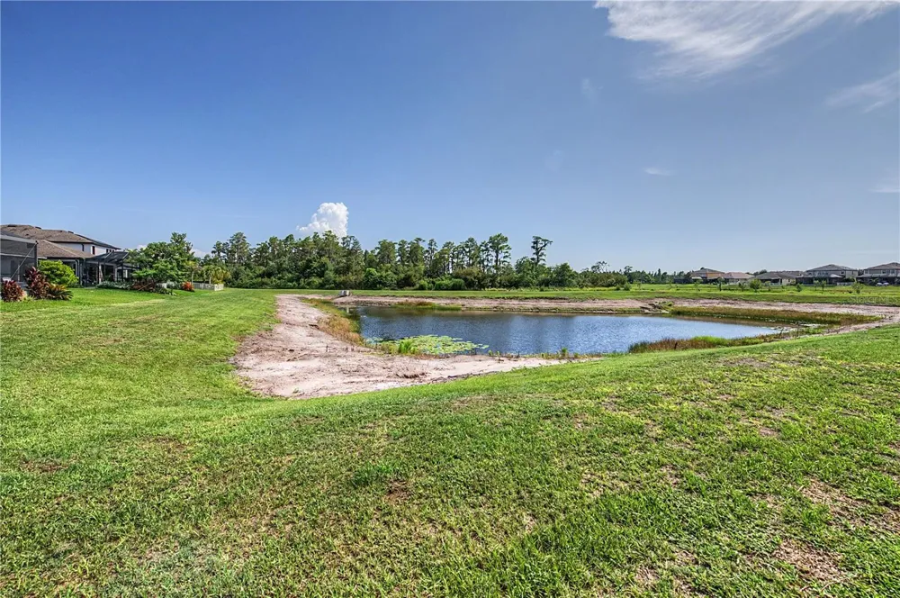 19308 BREYNIA DRIVE Lutz, FL 33558