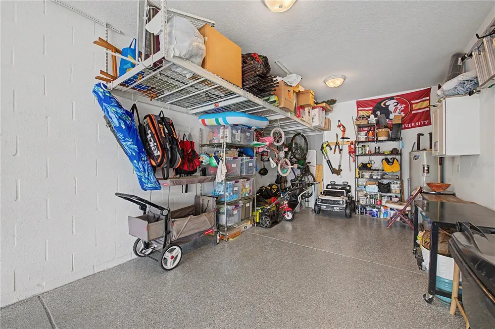 19308 BREYNIA DRIVE Lutz, FL 33558