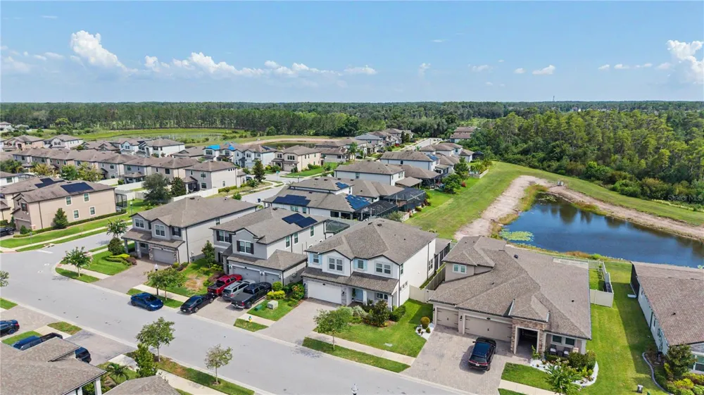 19308 BREYNIA DRIVE Lutz, FL 33558