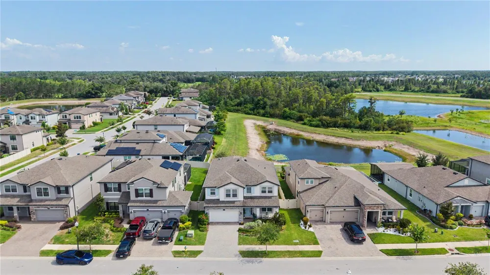 19308 BREYNIA DRIVE Lutz, FL 33558