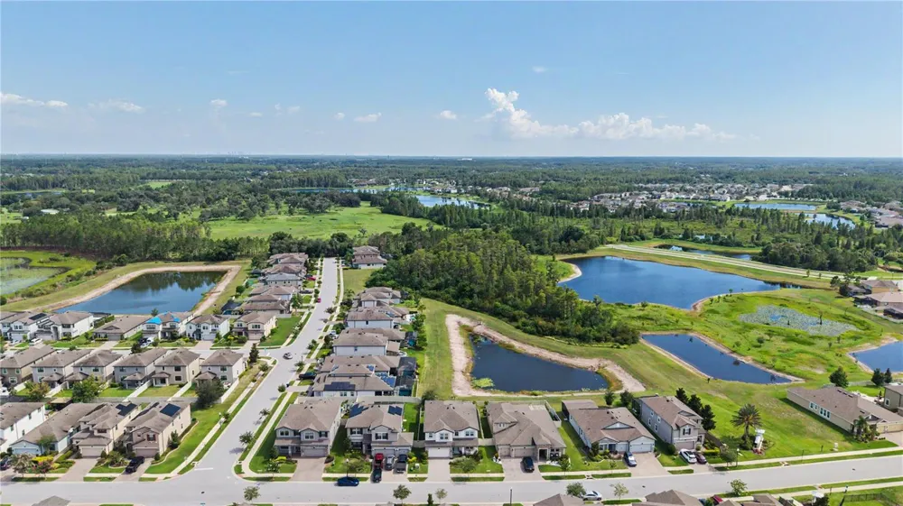 19308 BREYNIA DRIVE Lutz, FL 33558
