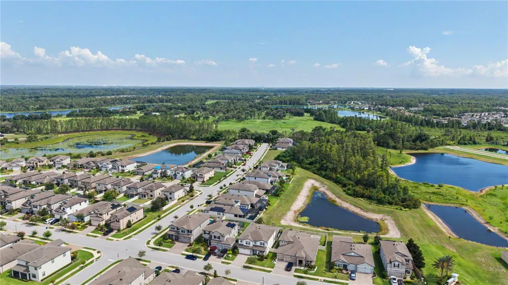 19308 BREYNIA DRIVE Lutz, FL 33558