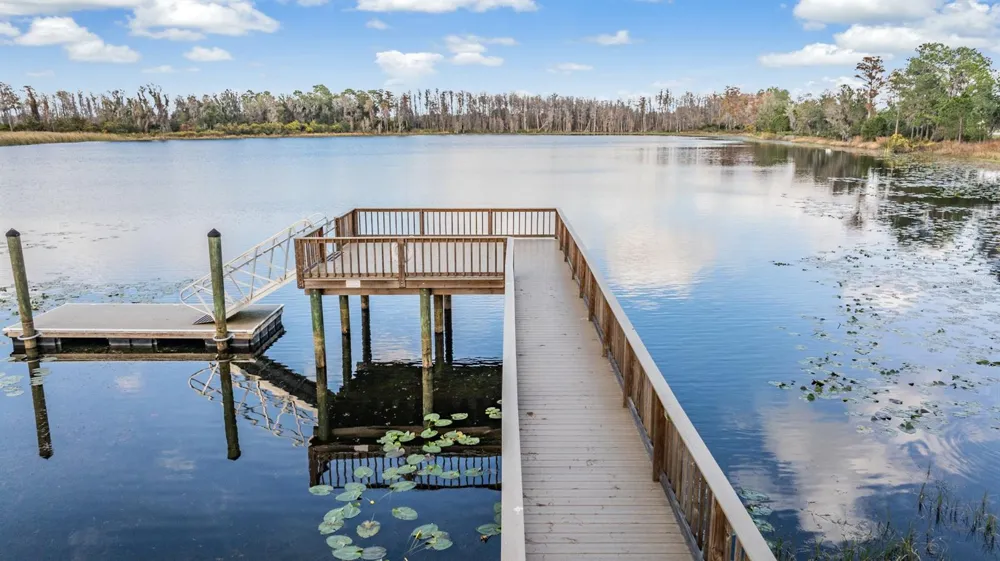 19308 BREYNIA DRIVE Lutz, FL 33558