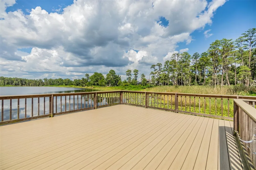 19308 BREYNIA DRIVE Lutz, FL 33558