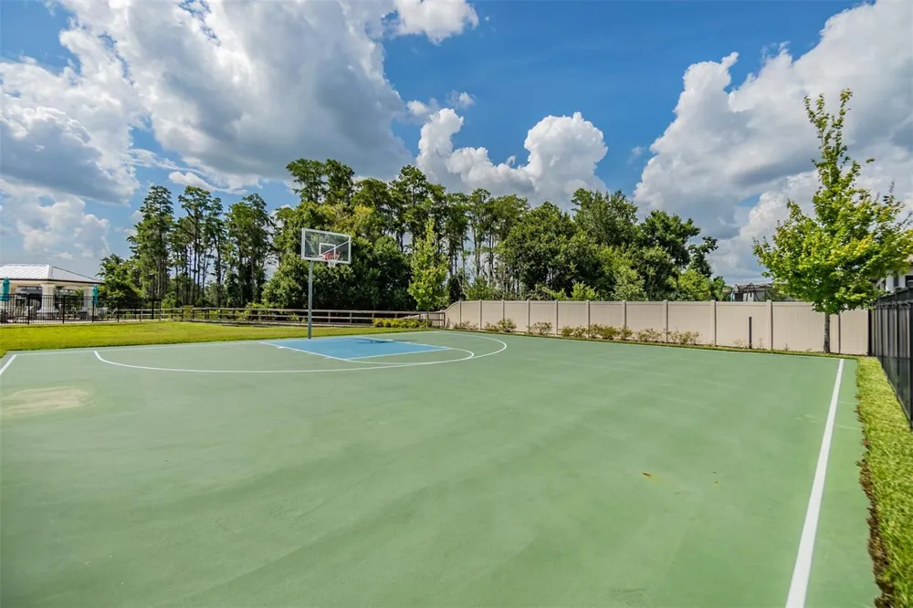 19308 BREYNIA DRIVE Lutz, FL 33558