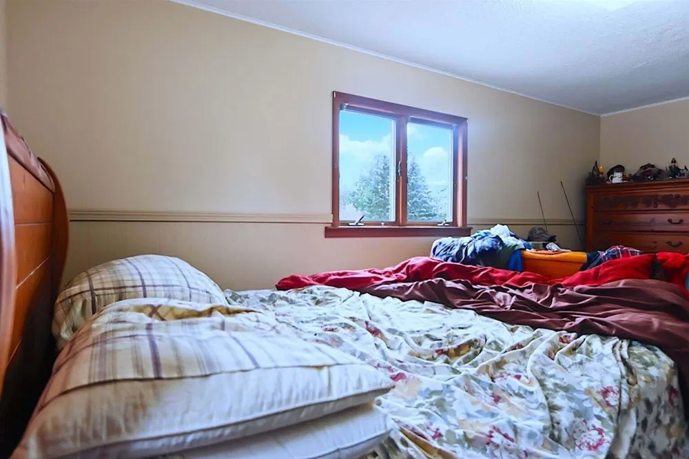 204 E Fiske Street Lincoln, MI 48742