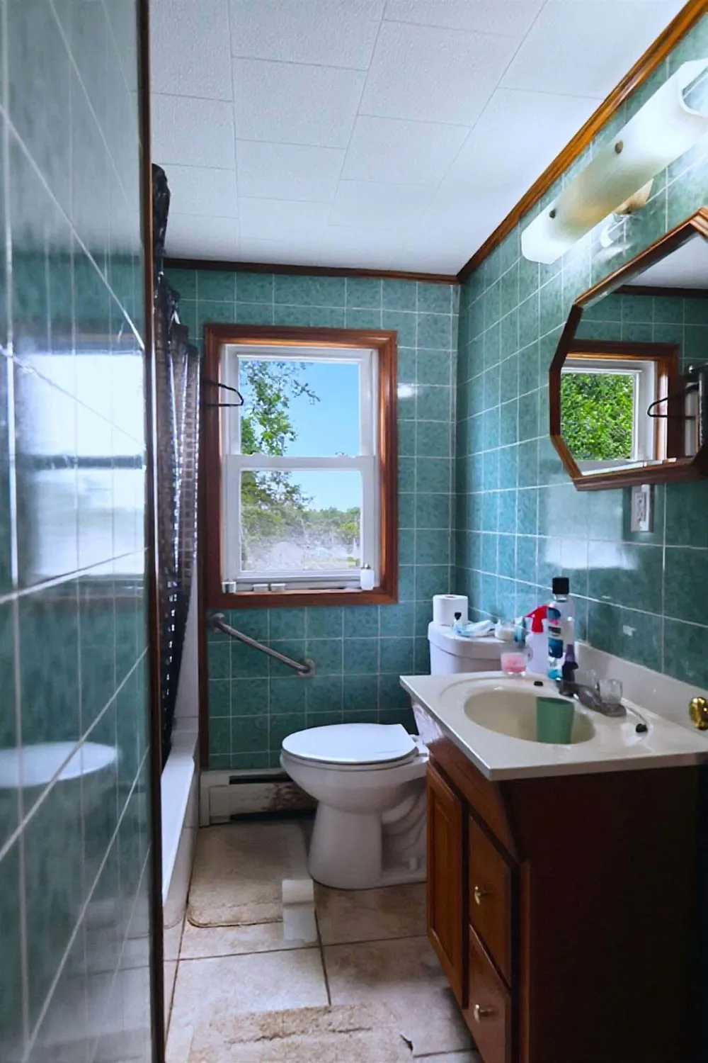 204 E Fiske Street Lincoln, MI 48742