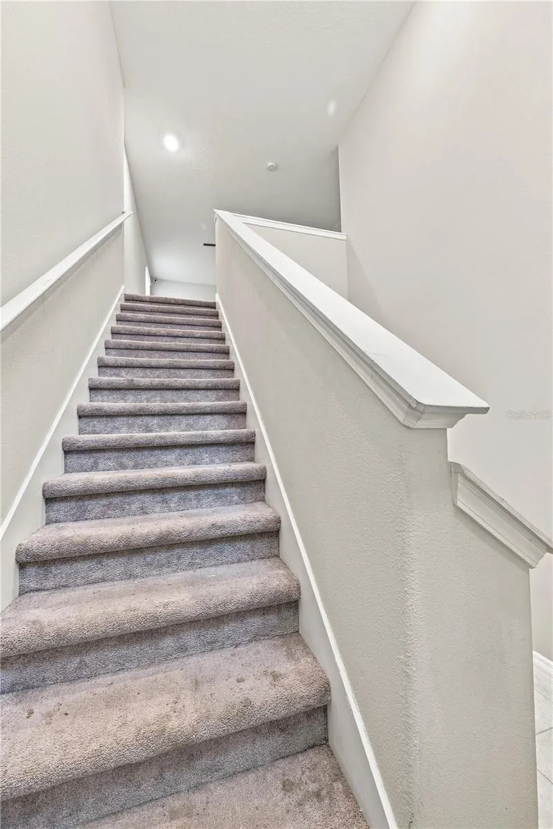 10202 HAPPY HEART AVENUE Riverview, FL 33578