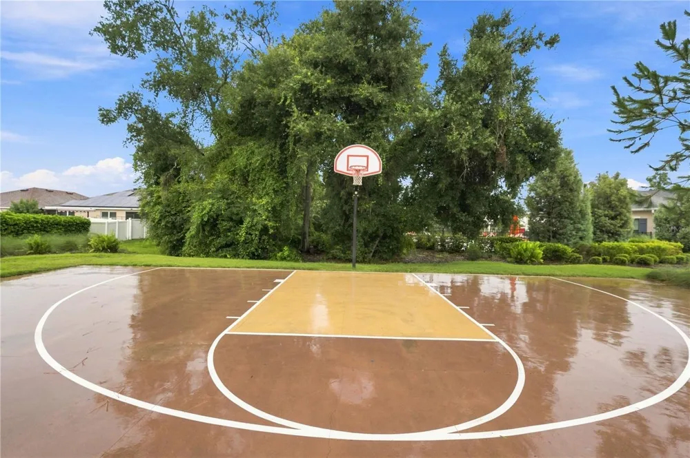 10202 HAPPY HEART AVENUE Riverview, FL 33578