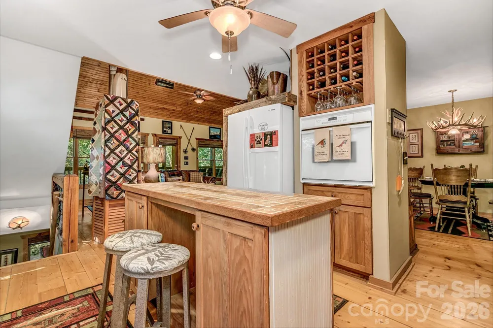 779 Thissa Way Brevard, NC 28712