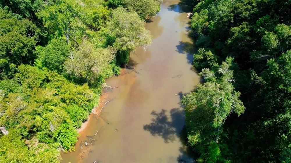 185 River Shoals Court Covington, GA 30016