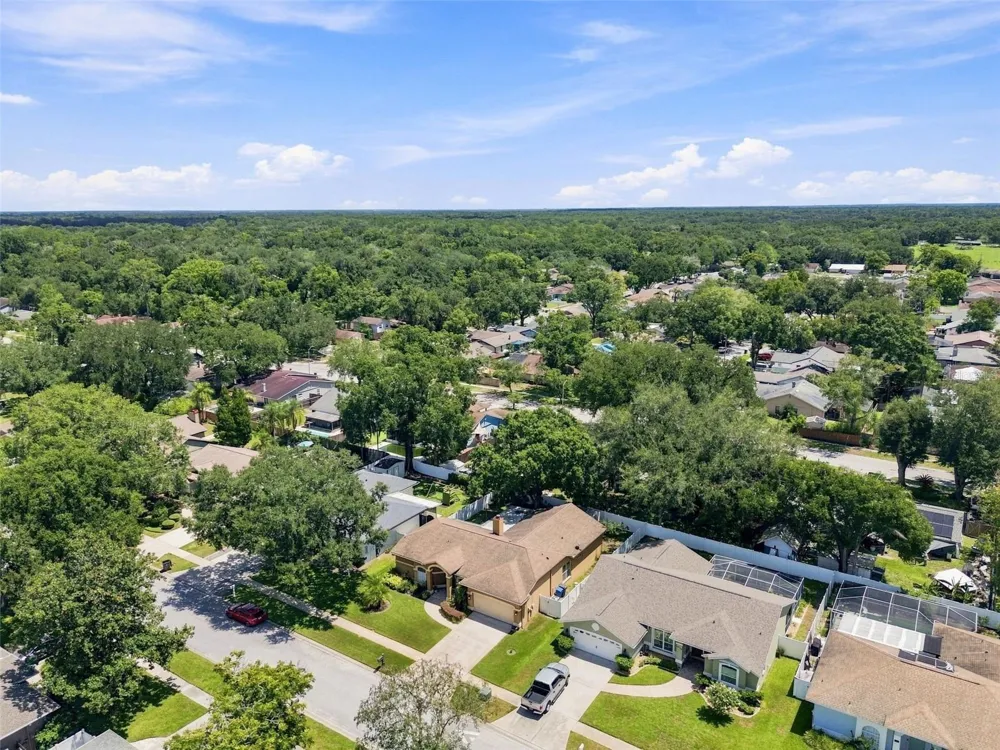 2244 GROVELAND DRIVE Lutz, FL 33549
