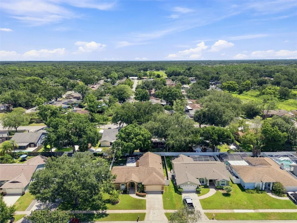 2244 GROVELAND DRIVE Lutz, FL 33549