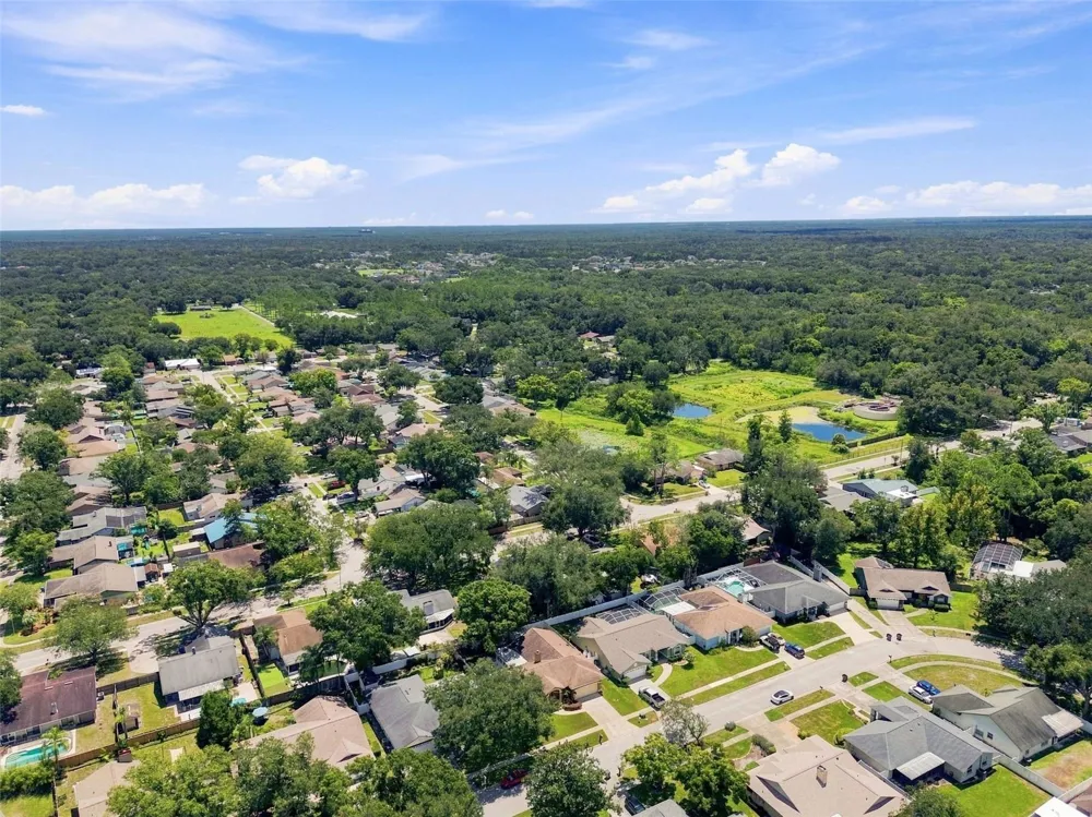 2244 GROVELAND DRIVE Lutz, FL 33549