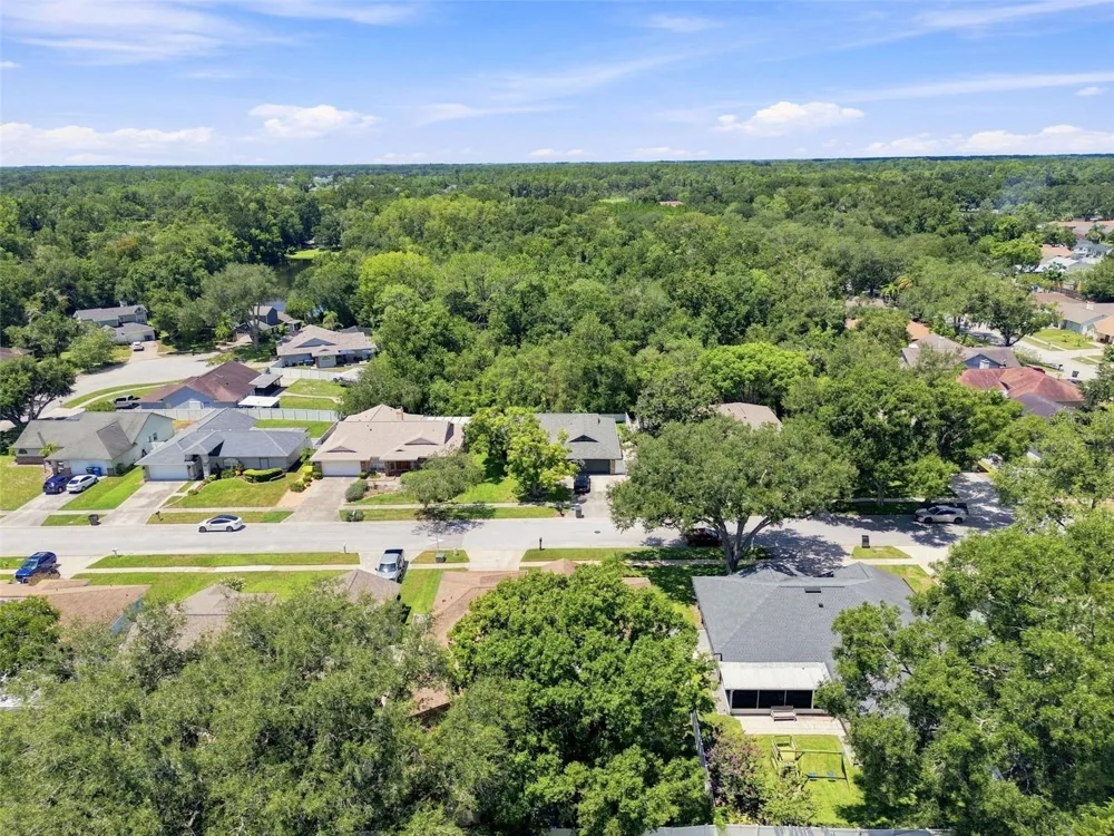2244 GROVELAND DRIVE Lutz, FL 33549