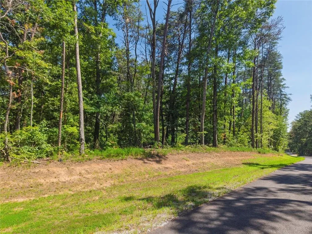 200 Highlands Chase Ball Ground, GA 30107