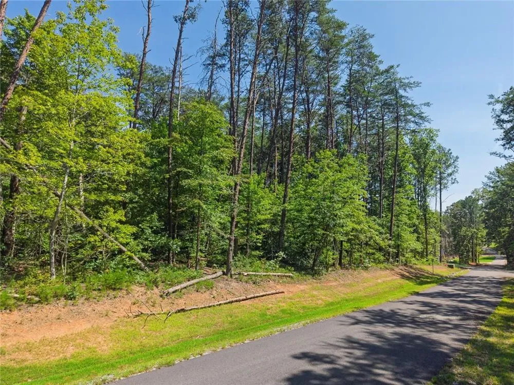 200 Highlands Chase Ball Ground, GA 30107