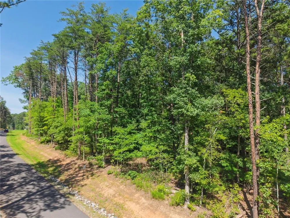 200 Highlands Chase Ball Ground, GA 30107
