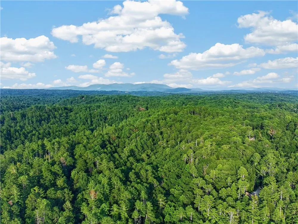 643 Woodstone Trail Ellijay, GA 30540