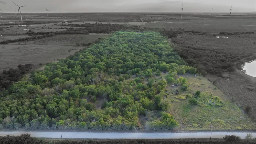 295 Hcr 3240 Mount Calm, TX 76673