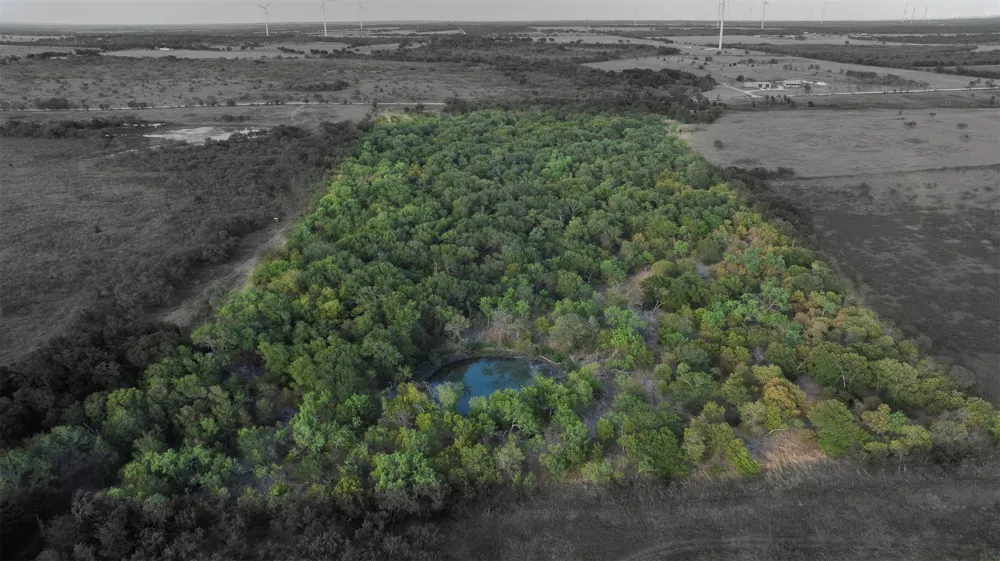 295 Hcr 3240 Mount Calm, TX 76673