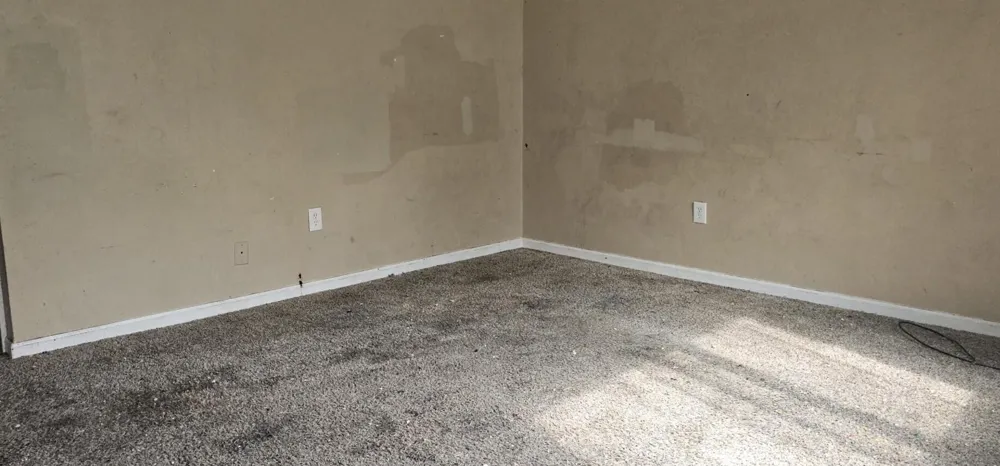 1327 Andrea Street Ypsilanti, MI 48198
