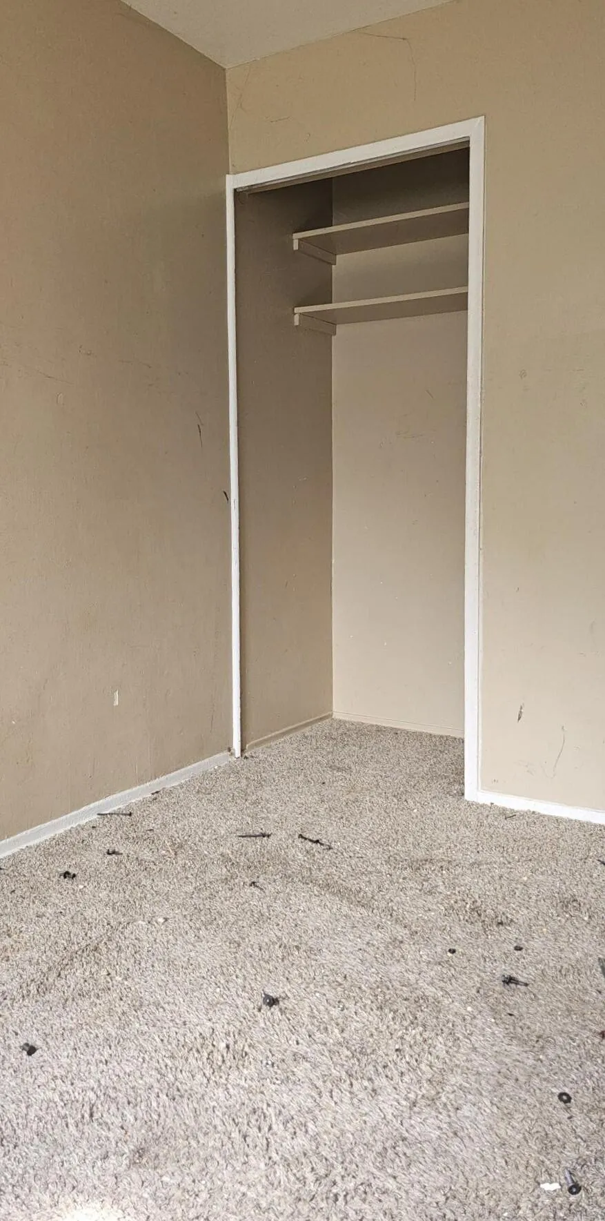 1327 Andrea Street Ypsilanti, MI 48198