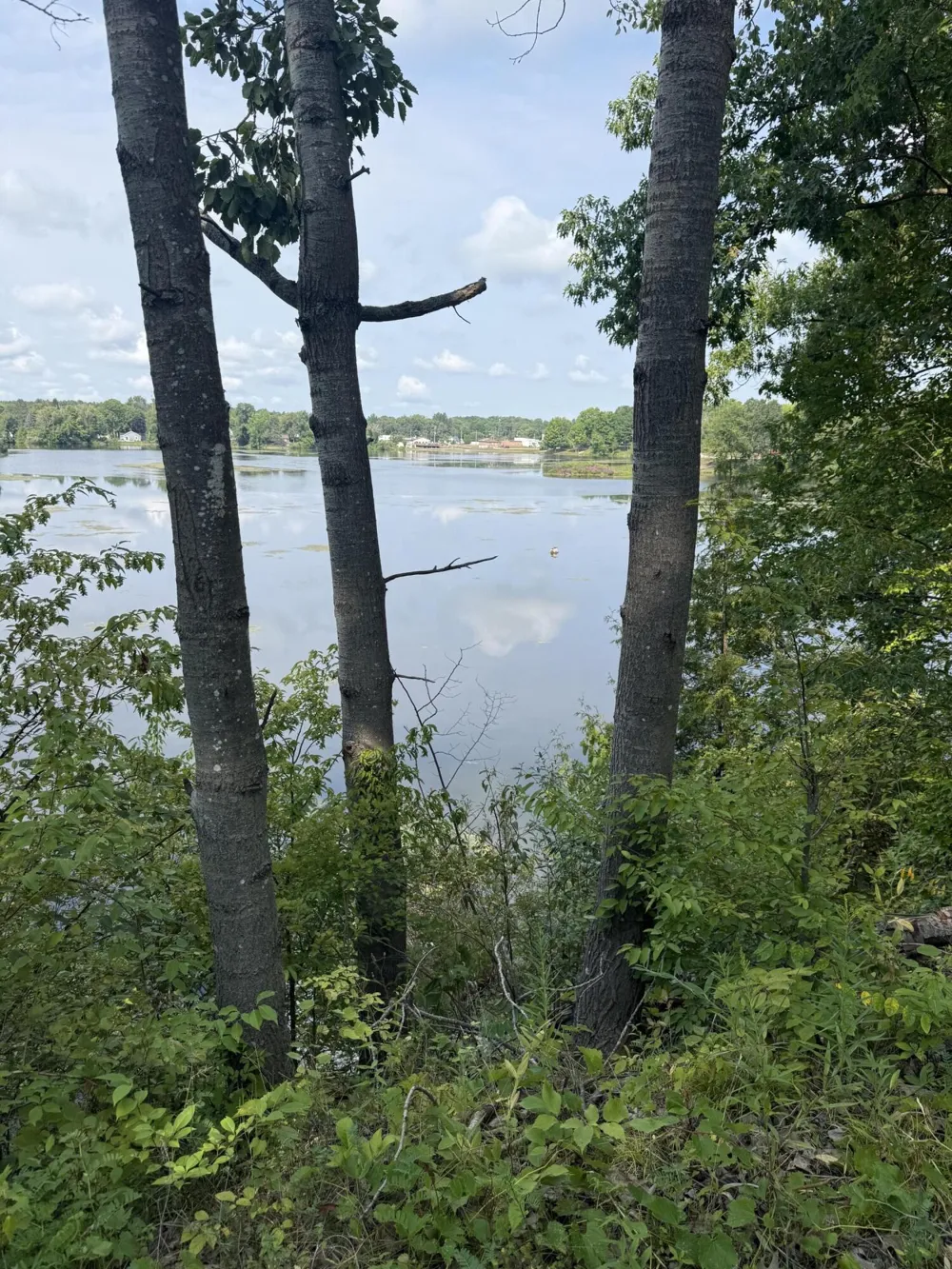 17820 W River Drive Morley, MI 49336