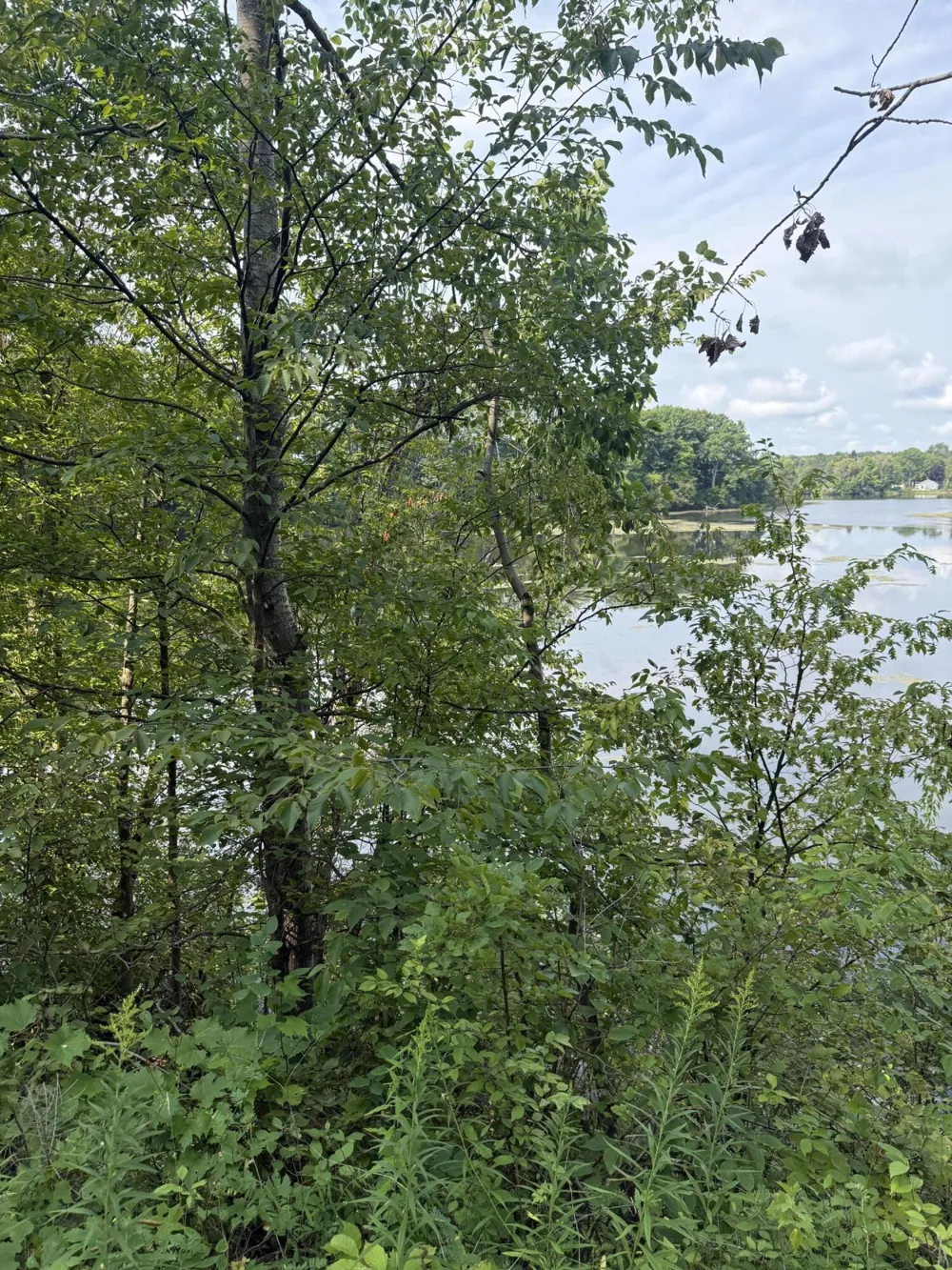 17820 W River Drive Morley, MI 49336