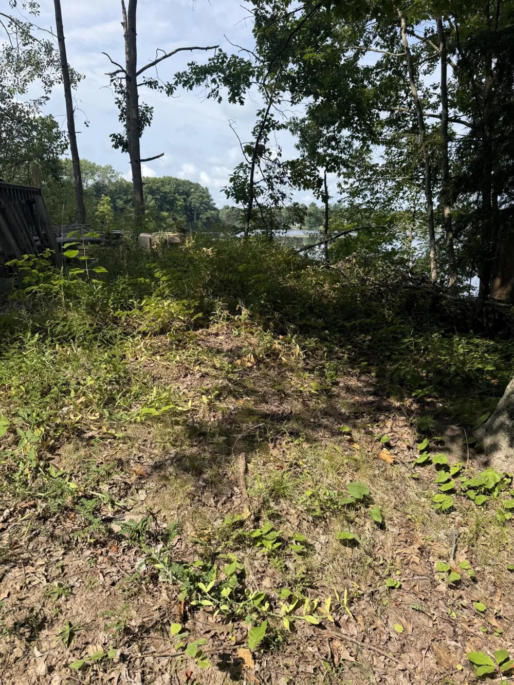 17820 W River Drive Morley, MI 49336
